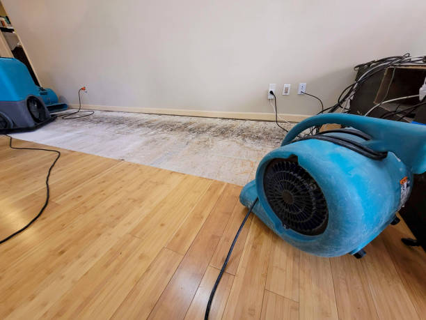 Professional Structural Drying technician working in Quincy, CA